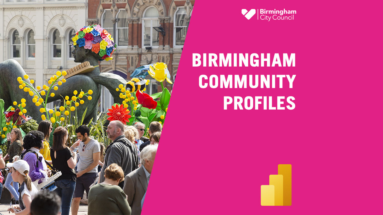 Birmingham Community Profiles